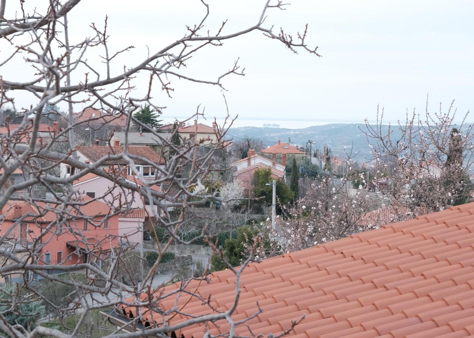 Apartma Nika Pobegi Εξωτερικό φωτογραφία